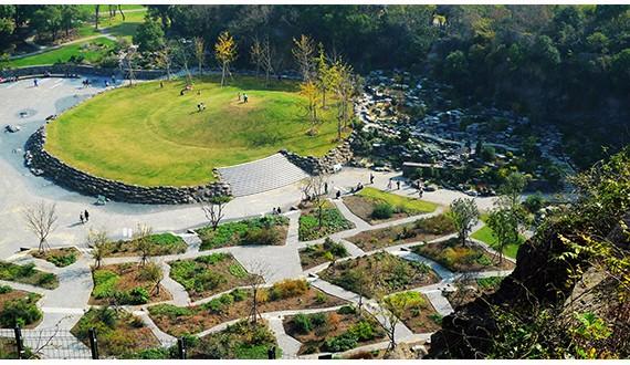 上海辰山植物园岩石专项园